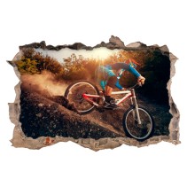 Vinilos 3d mountain bike